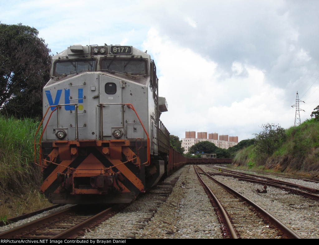 VLI 6177